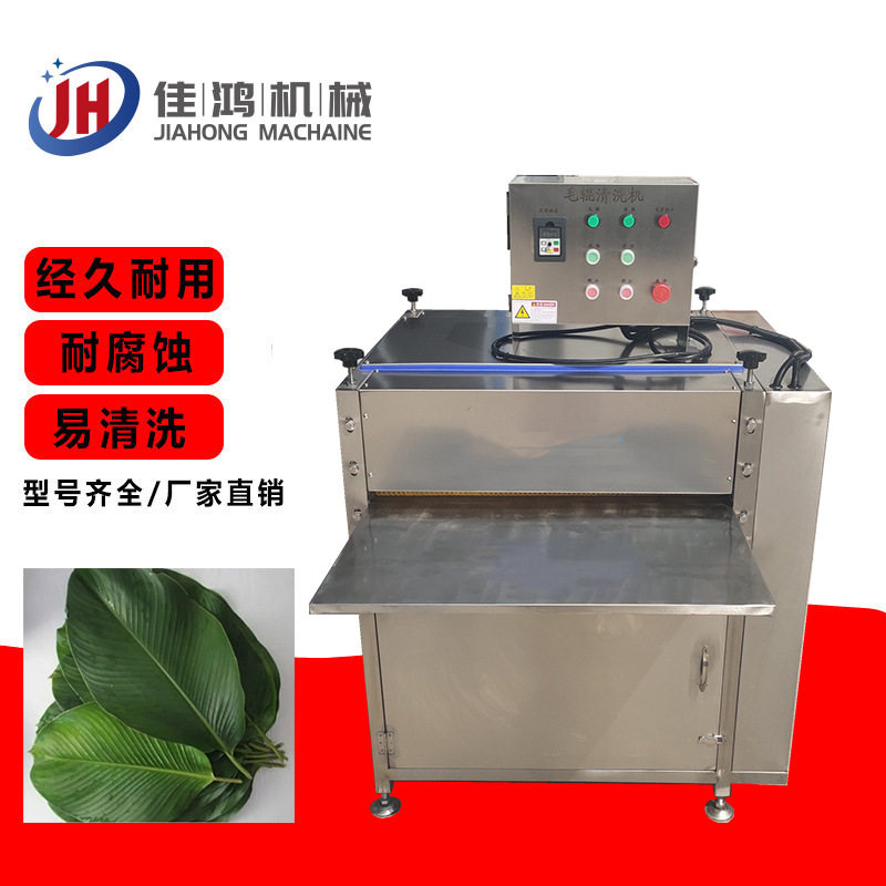 商用芦苇叶毛辊清洗机 粽叶菠萝叶清洗设备 连续式芭蕉叶清洗机器