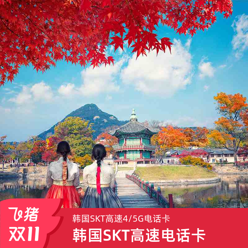 韩国电话卡SKT