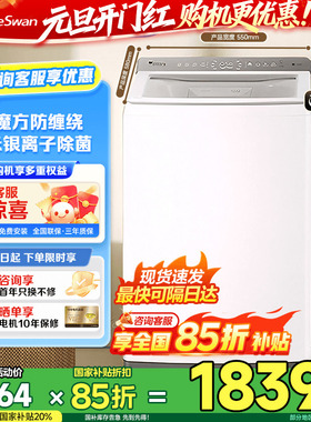 小天鹅小乌梅2.0轻奢版水魔方波轮大容量白色10KG变频洗衣机E20DW