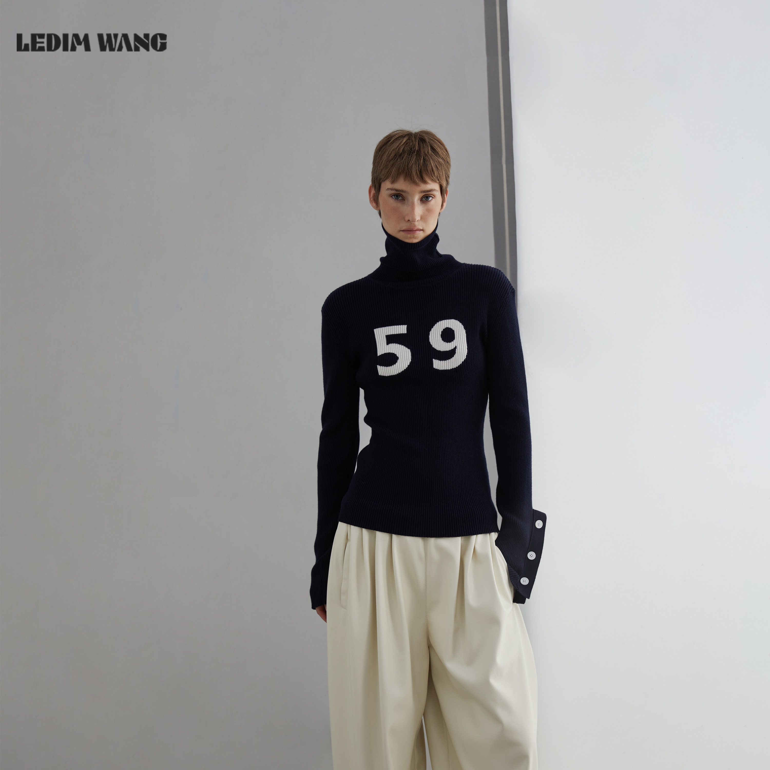 LEDIM WANG白标/59号高领套头毛针织衫女25秋冬新款修身长袖毛衣