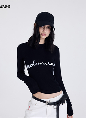 LEDIM WANG刺绣针织毛针织衫女2026春季新款内搭长袖短款打底衫