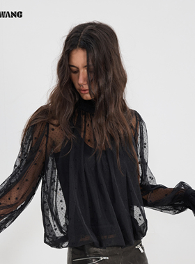 LEDIM WANG波点套头雪纺衫女2026春季新款黑色透视薄款收腰上衣