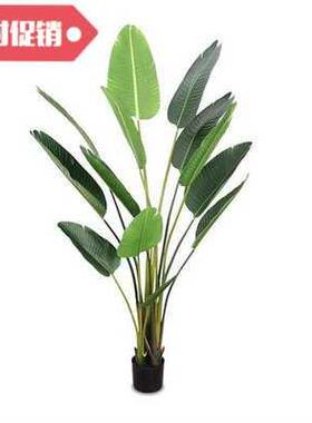 好货new large nordic traveler banana simulation green plant