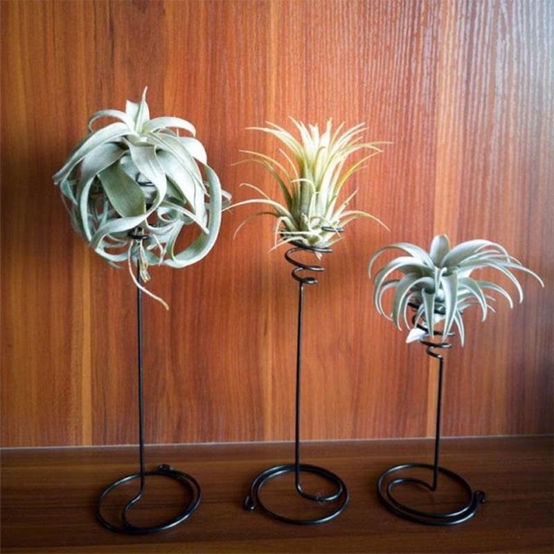 Air Plant Holder 3 Sizes Air Plants Container Iron Flower St