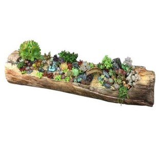 多肉枯木花盆根雕花架仿树根木头客厅种花老木槽盆栽老桩长方特大