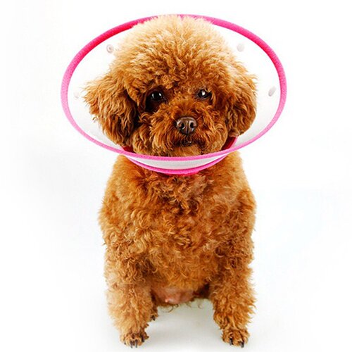好货Pet Protective Collar Dog Wound Healing Protection Neck
