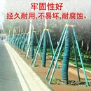 支撐架支c架鋼管架鋅三四腳鍍綠色金屬固定夾固定器防風苗木