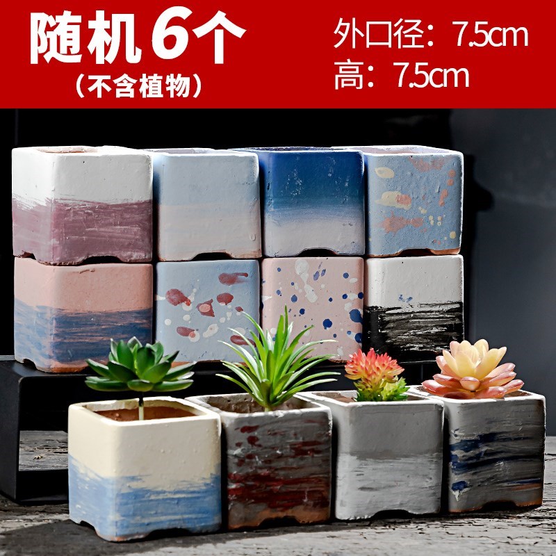 生石花盆专用花盆多肉复古创意室内盆栽小拼盘个性简约植物室外