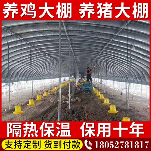 好货椭圆管牛骨架全套鸡种植猪舍钢管大DF棚羊养殖养鸡场圈蔬菜花