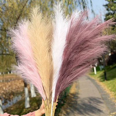 好货1Pcs Artificial Pampas Grass Home Room Decor Simulation