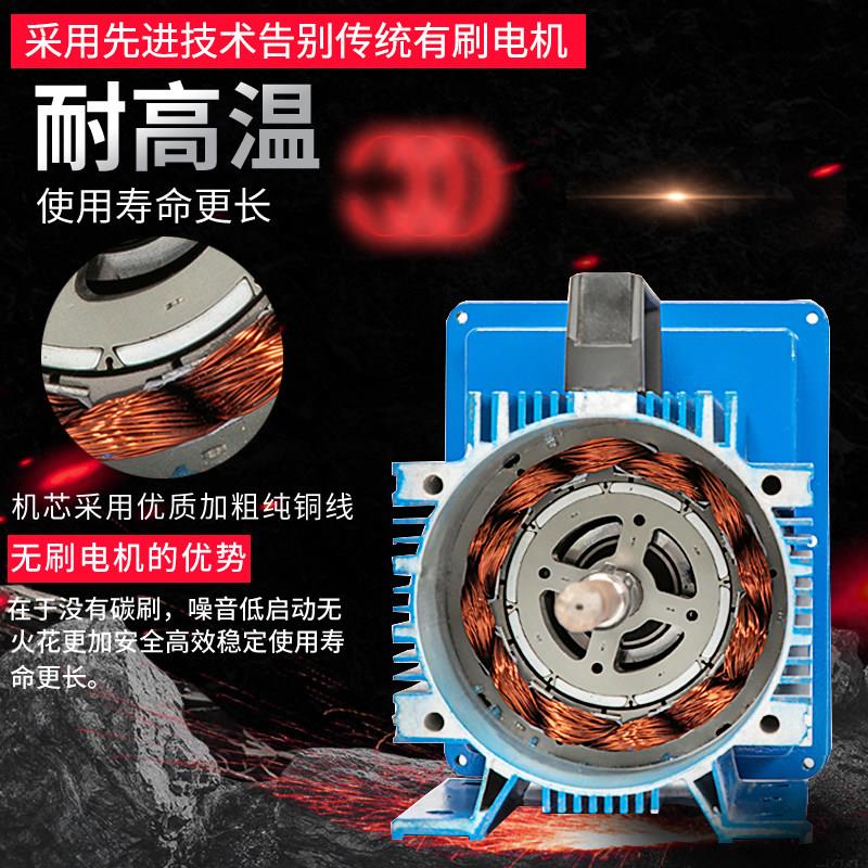 12v24v220v大流量防爆泵电瓶无刷马达静音抽油泵汽油柴油自吸抽油