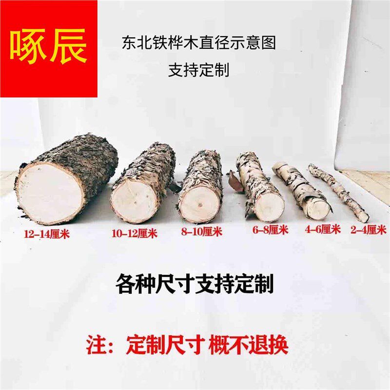 极速桦木铁桦桦木原木铁原桦木树装饰树隔断橱窗隔断铁湿木料新品