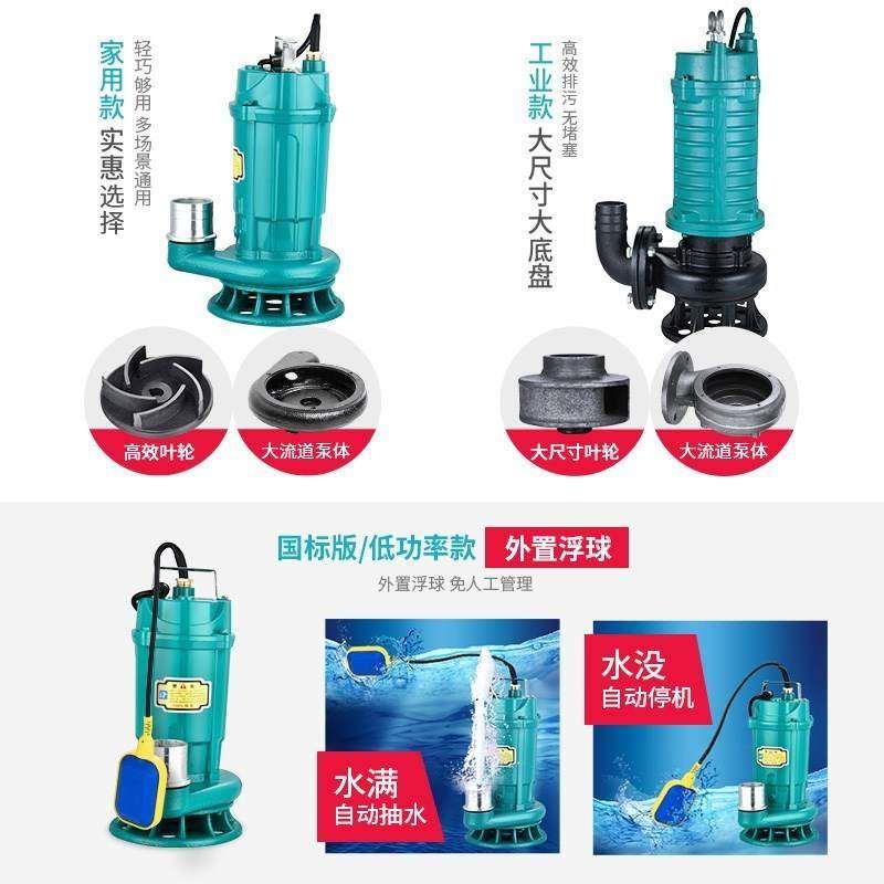 功能220V100W水位扬程家用高污水泵铜芯低灌溉潜水泵泵抽水浇水机
