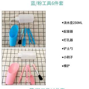 种多肉工具多肉种植工具套装养多肉植物的三件套组合种花栽肉肉专