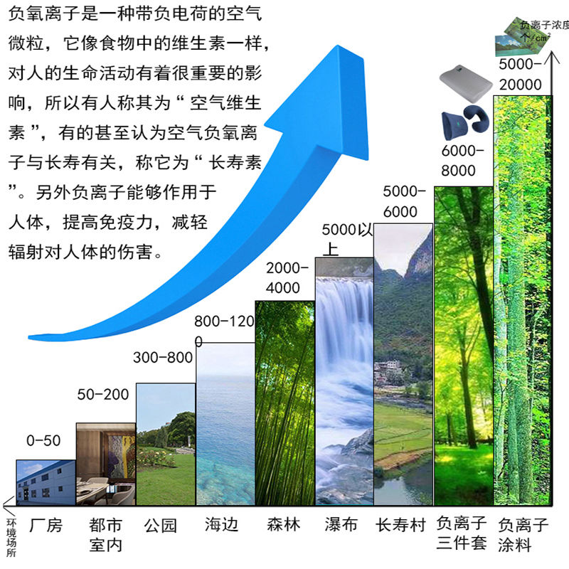 森氧博车用空气清新剂负氧离子净化器除异味剂除甲醛净化空气镀层