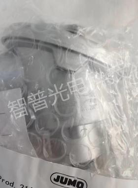 JUMO久茂铂热电阻一体化温度探头902810/13系列TN48456529