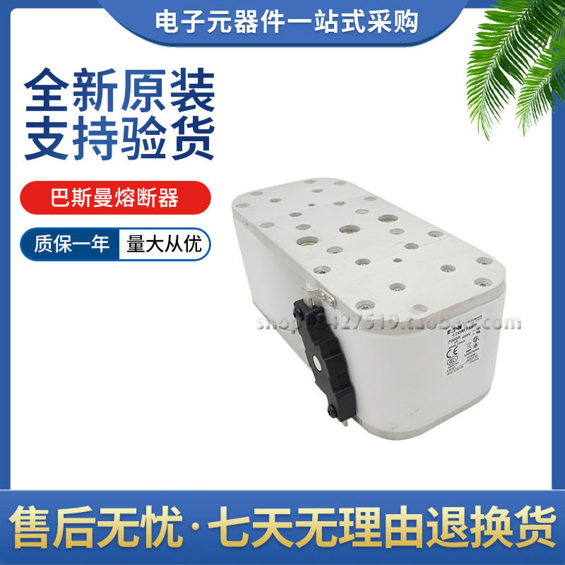 巴斯曼原装熔断器170M7系列