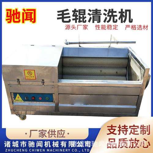 驰闻毛辊清洗机毛辊猪蹄猪儿朵猪头清洗机土豆红薯毛去皮清洗设备