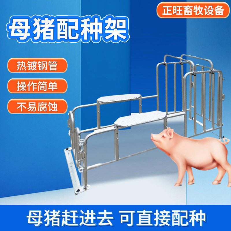 热镀锌母猪公猪配种采精架
