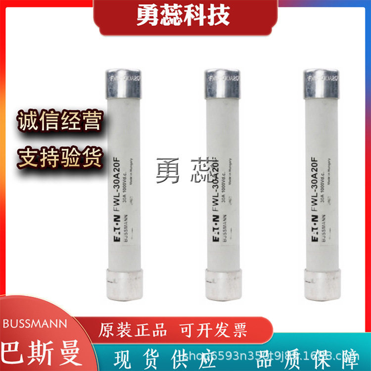 FWL系列保险丝熔断器20A-30A