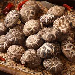 旗舰店优质香菇大别山特产花菇干货肉质肥厚细嫩岳西食用菌农产品