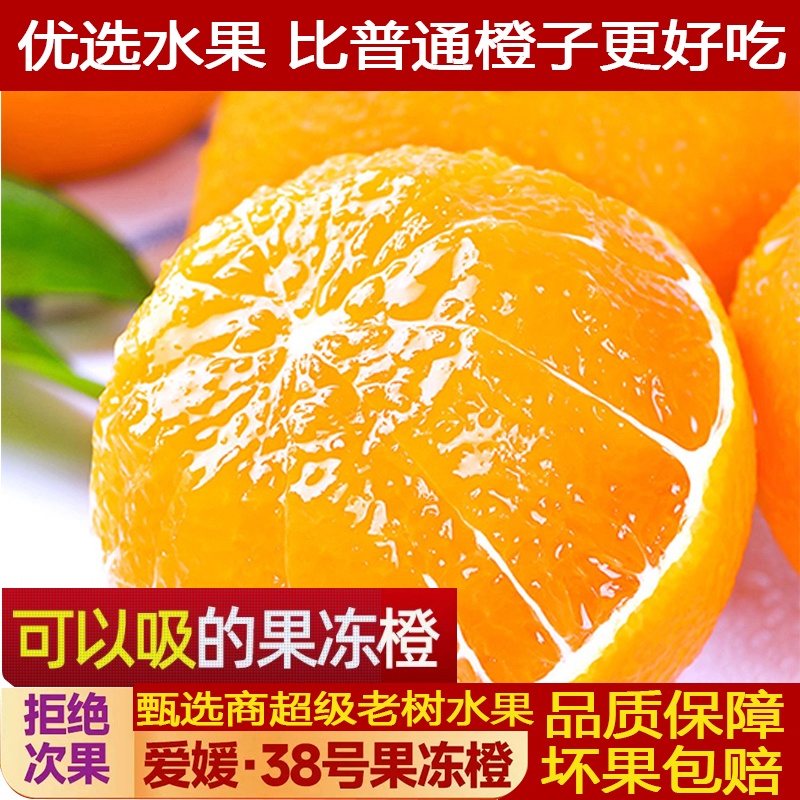 鲜苑胖胖四川爱媛38号果冻橙