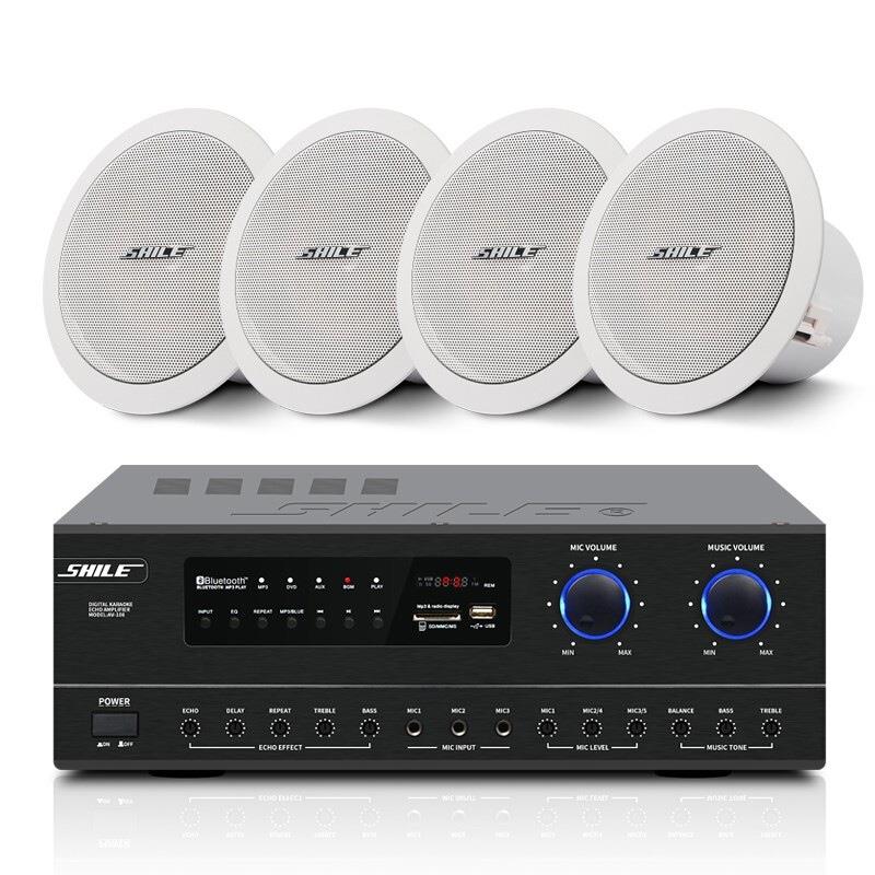 狮乐（SHILE）AV108+BX206一拖四吸顶音响系统6.5英寸定阻吸顶喇