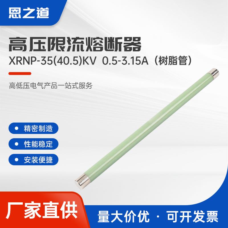XRNP-35(40.5)KV0.5-3.15A（树脂管）高压高分断能力熔断器限流