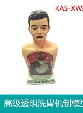 透明洗胃机制模型KAS-XW彩色洗胃模拟训练模型护理练习