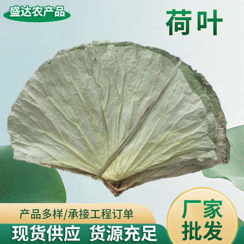 批发荷叶完整切片叶木桶糯米鸡包粽子糯米鸡荷叶鸡用荷叶干叶子