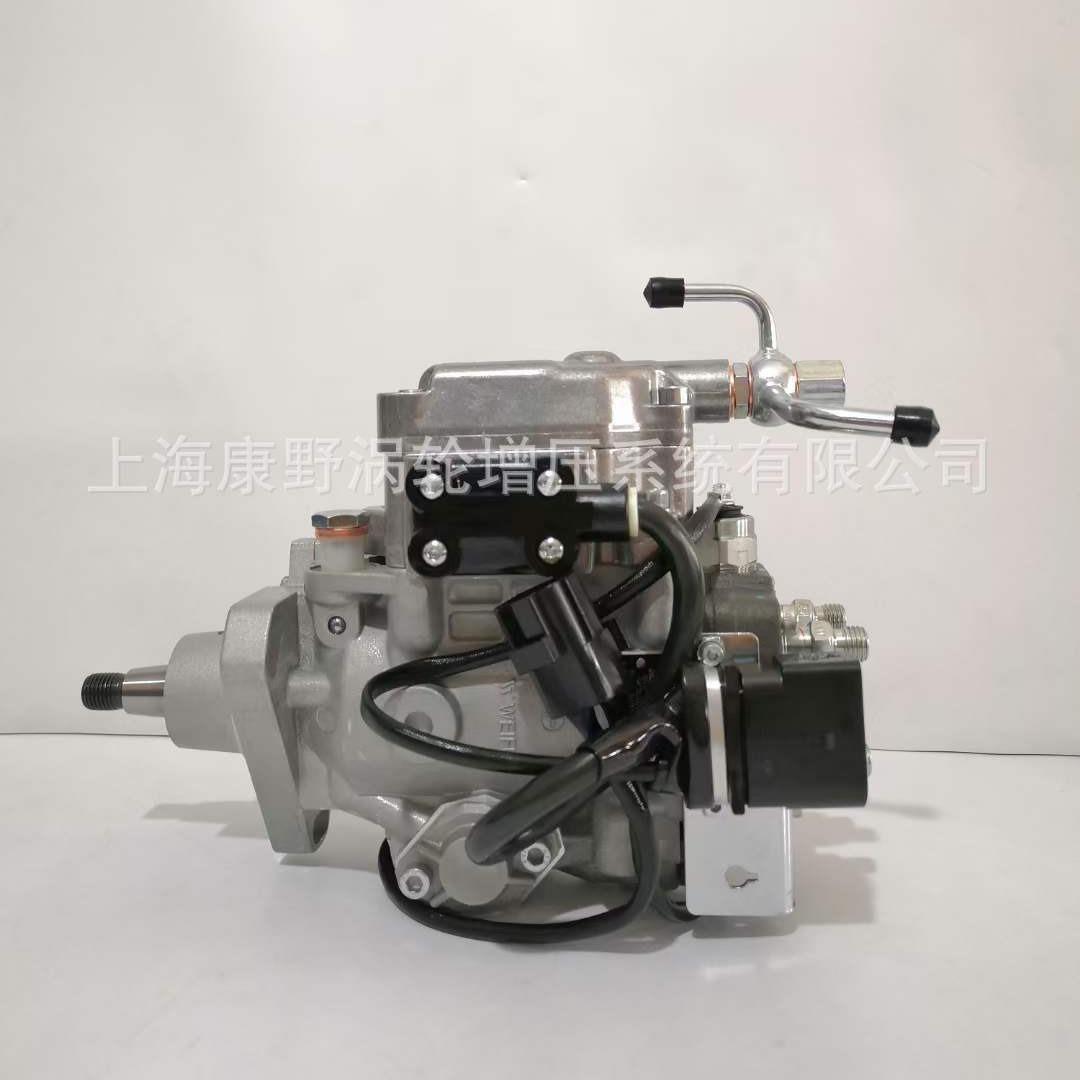 喷油泵11E1800L0130002070013和R7002000207012311E1350R042