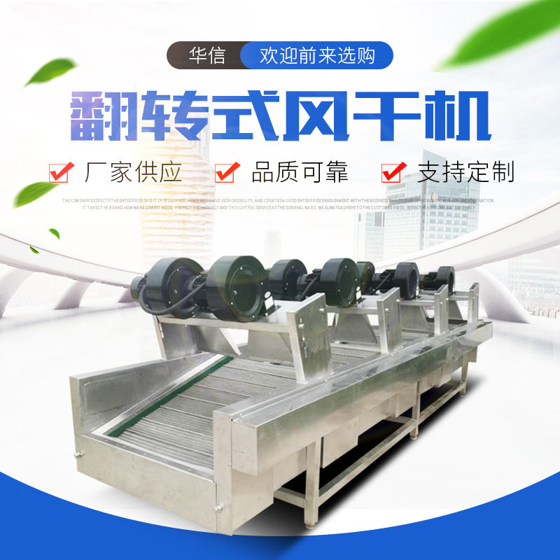小型连续式山楂清洗风干机