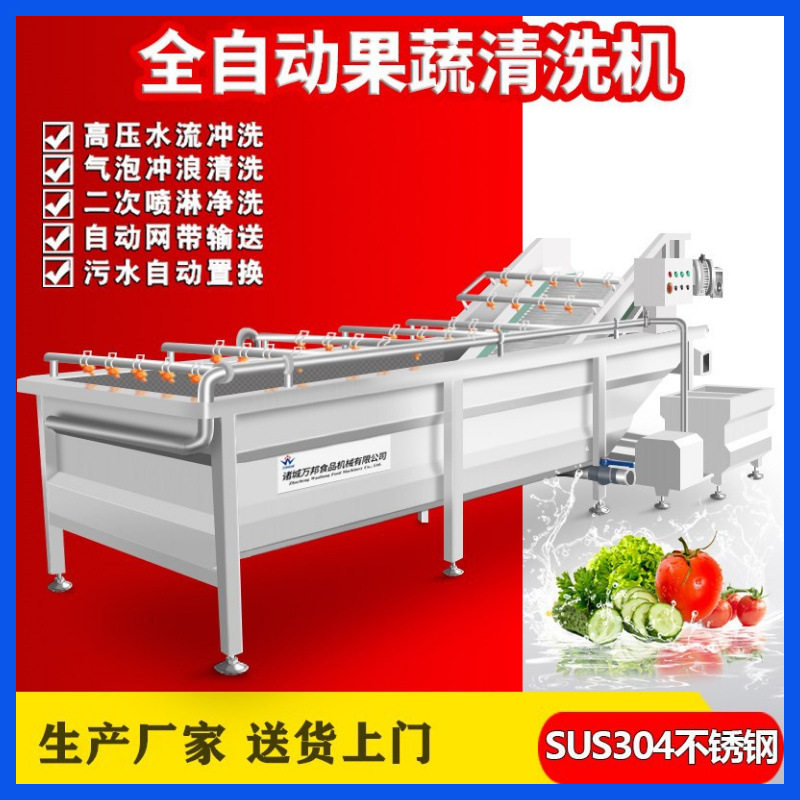 香椿芽清洗机现货小茄子清洗机不锈钢蔬菜配送番柿清洗设备