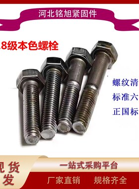 速发4.级8铁本色外六角螺丝钉加长外六角螺栓16M8M10MM2M14M16M24