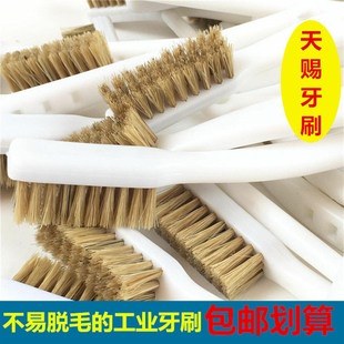 速发毛赐棕毛工业牙刷 刷浆糊猪鬃天刷软毛刷小毛刷 鞋刷 不掉毛