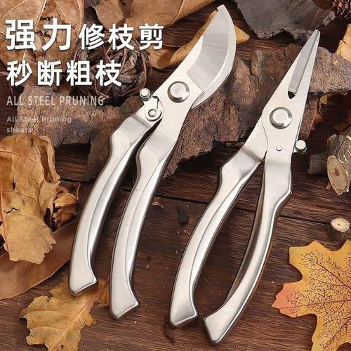 速发树质园艺剪刀修枝剪家用园林修花卉果力剪树枝专用省品摘果剪