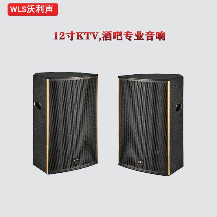 专业酒吧KTV音响12寸家庭会议派对舞台音箱大功率歌剧院影院音响