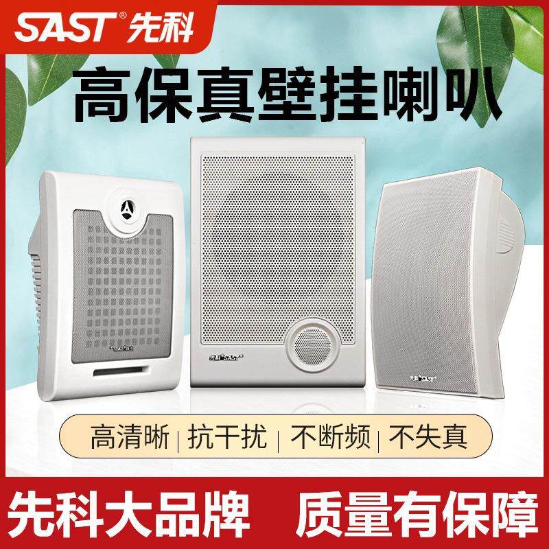 A1 壁挂音响大音量音响教室超市餐厅背景音乐挂壁式音响喇叭