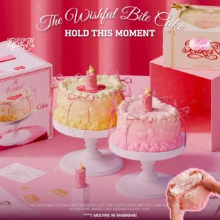 Pinch Molynk Creative Cake Toy Exclusive Ornament Gift