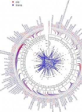 Python代编医学图像分割深度学习语义分割计算机视觉生成对抗网络