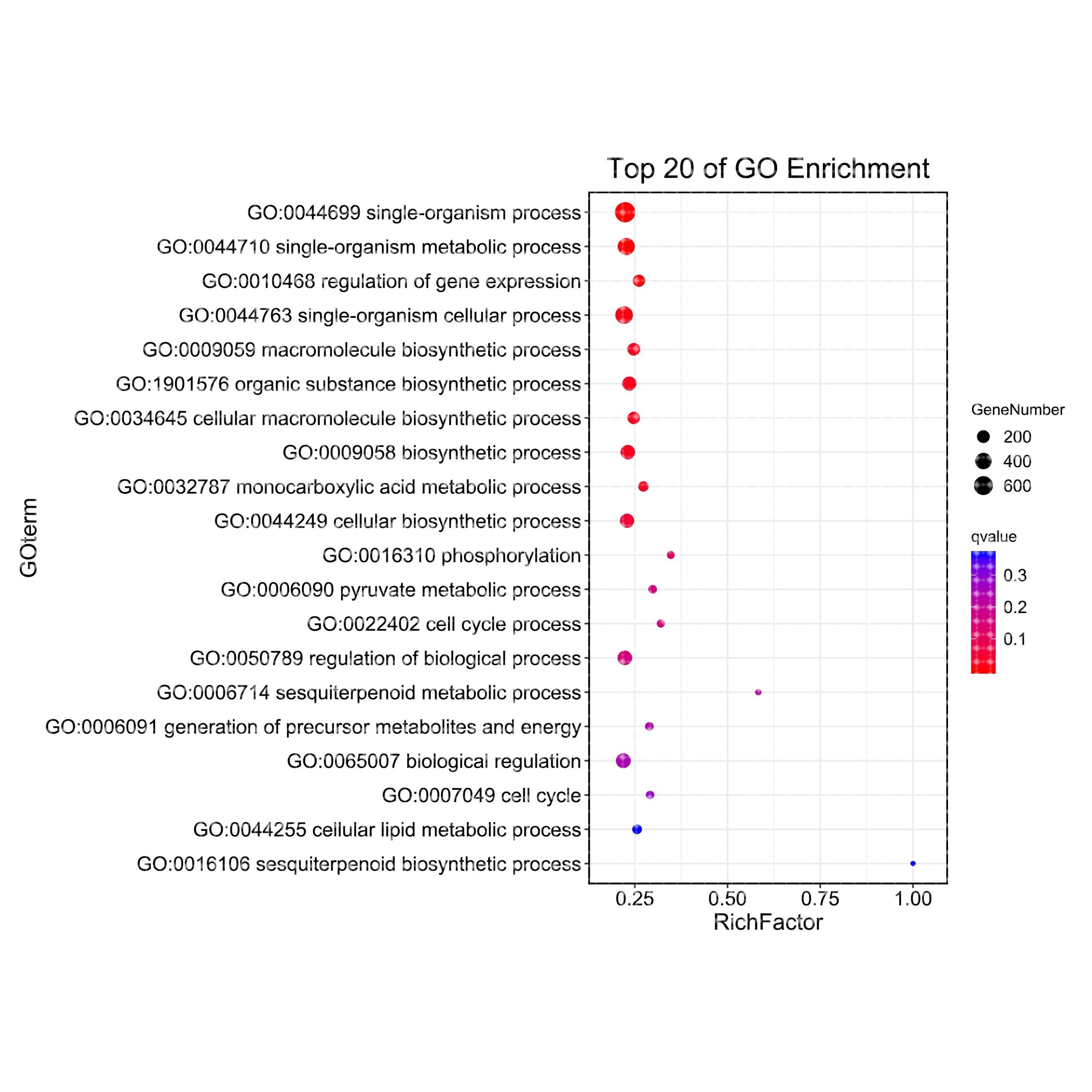 转录组数据分析/有参转录组/无参转录组/KEGG富集分析/气泡图