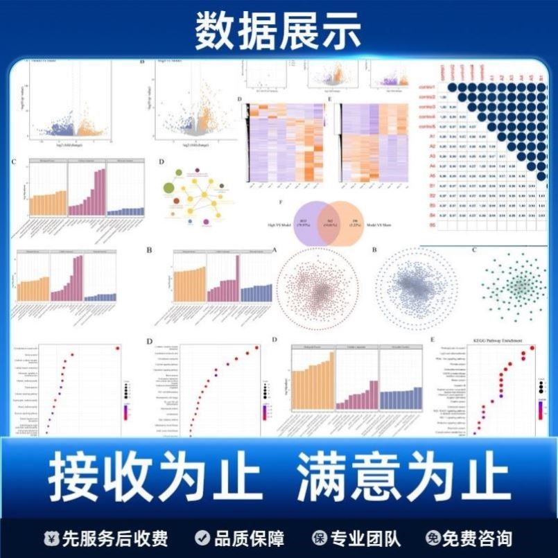 生信分析测序转录组基因组16s多组学分析 TCGA/GEO数据库挖掘分析