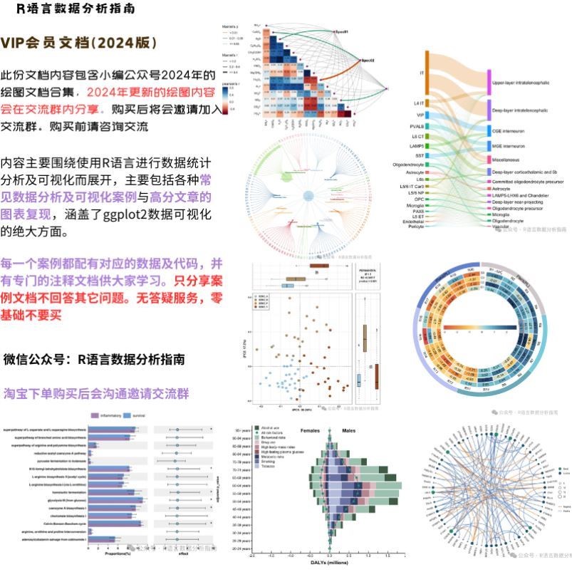 2024年-R可视化代码文档(买前请咨询)