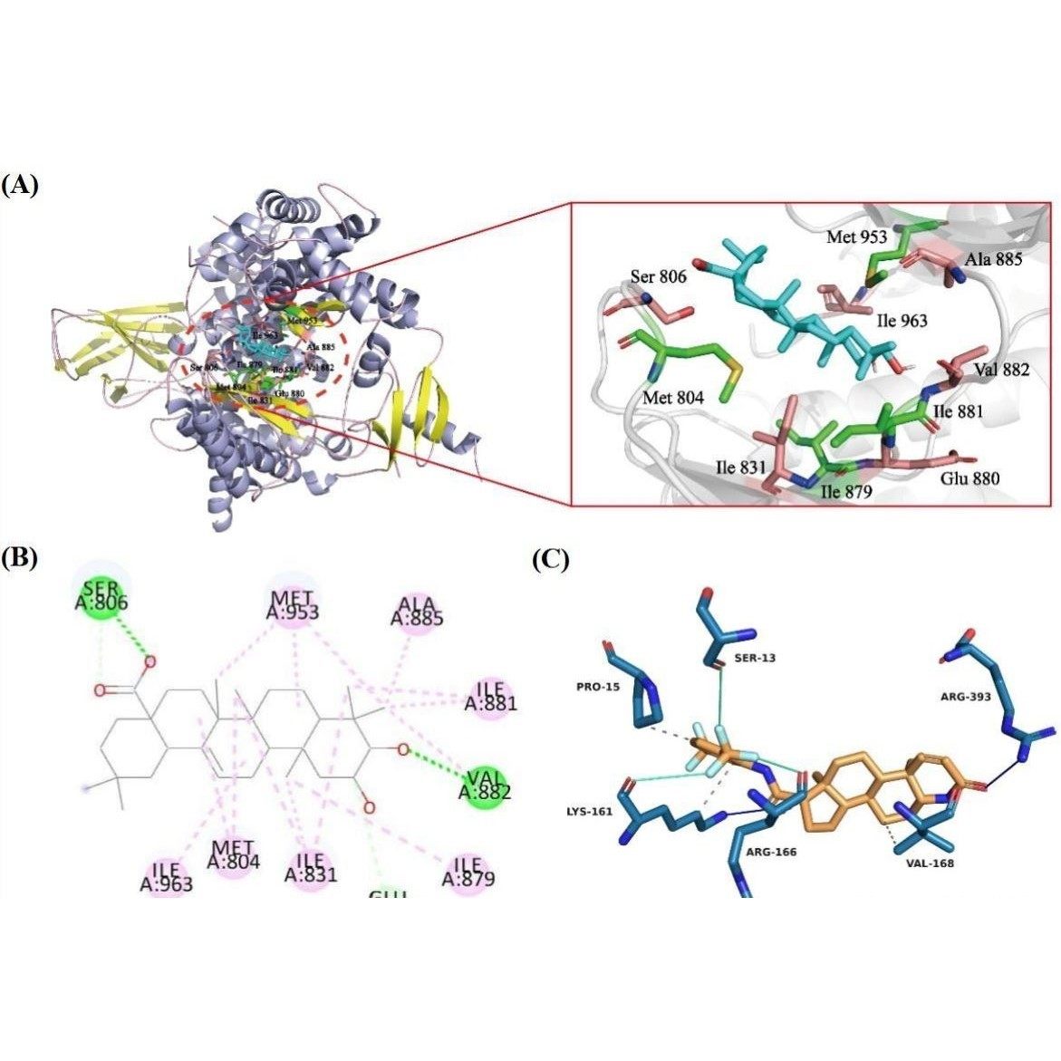 分子对接蛋白对接AlphaFold3蛋白预测互作分析,商务/设计服务,行业研究报告,淘宝优惠券,粉丝福利购,淘宝优惠卷