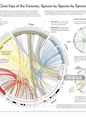 网络药理学 生信服务 中药复方分子对接 TCGA GEO  IGG