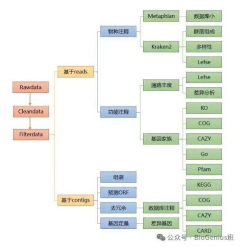 宏基因组数据分析/物种注释/组装拼接/基因预测/binning分箱/MAGs