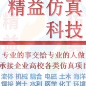 分析CAE 代做Ansys CFD彷真 Abaqus maxwell有限元 Fluent Comsol