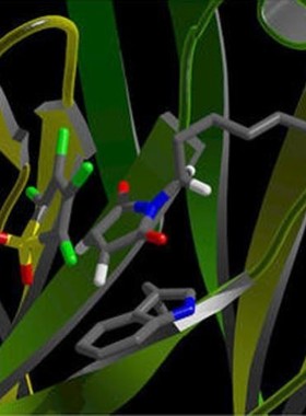 分子动力学计算服务 蛋白结构优化 分子模拟 药物设计 CADD