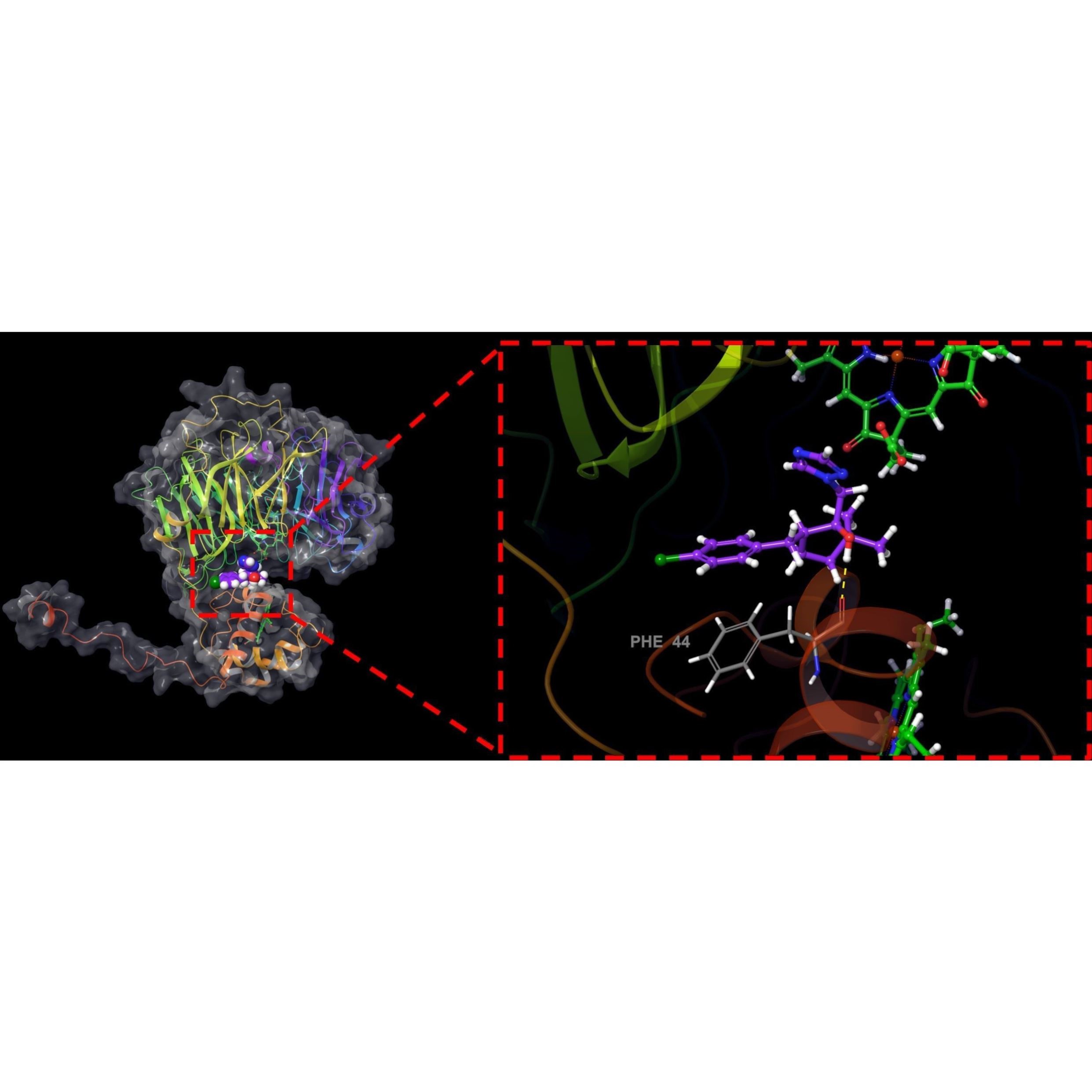 清北博士团队虚拟筛选/分子对接/蛋白对接/网络药理学/动力学模拟图片