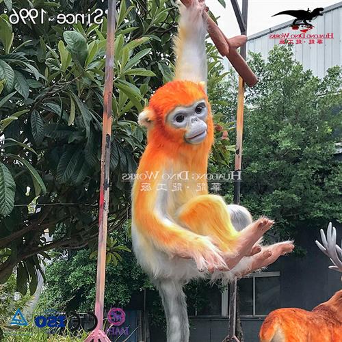 仿真动物猩猩小猴子动物模型仿真恐龙工厂设计制作工艺品图片